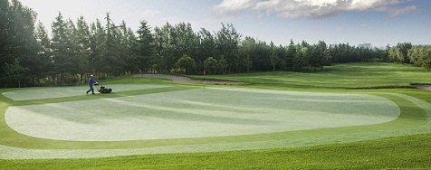 IMG_0813.jpg IMG_0813.jpg