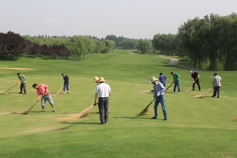 _MG_3171.JPG _MG_3171.JPG