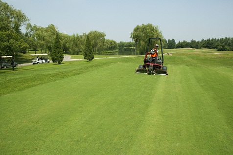 IMG_1824.jpg IMG_1824.jpg