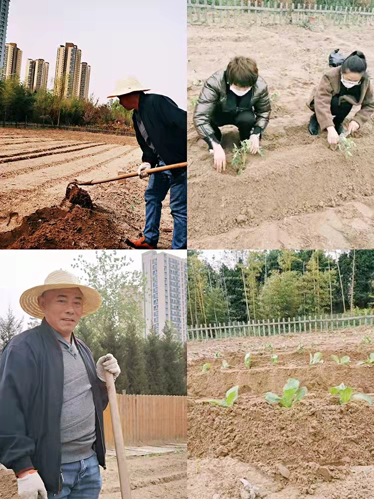 1648888836895874.png 微信图片_20220402163939.png