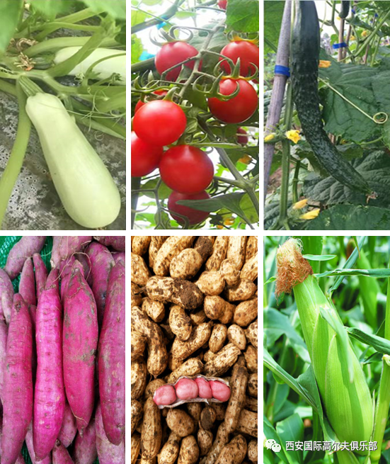 1648888855304724.png 微信图片_202204021639391.png